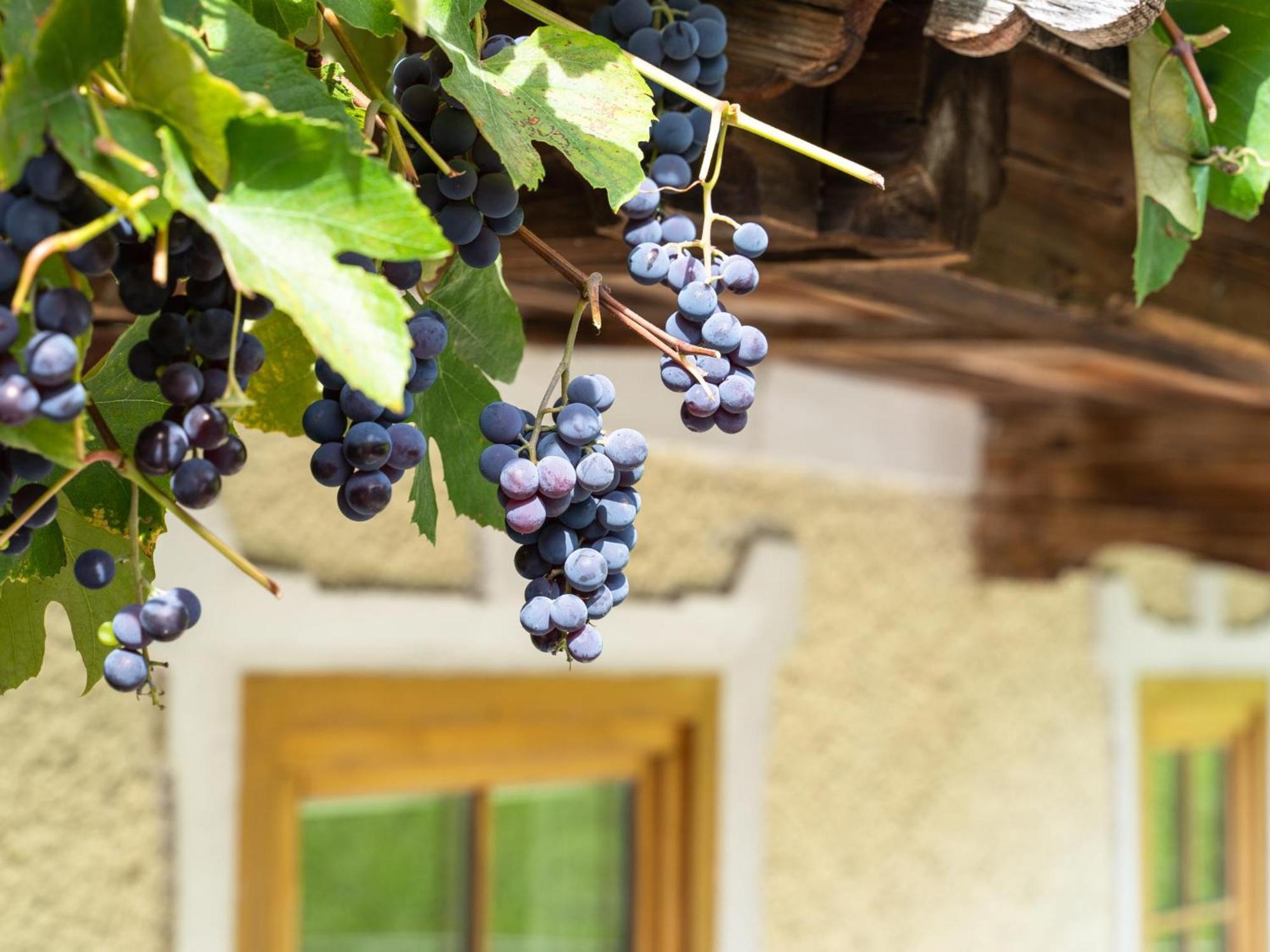 Chalet Anna Bruck am Ziller Екстериор снимка